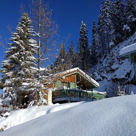 Chalet Daria Prémanon 외부 사진