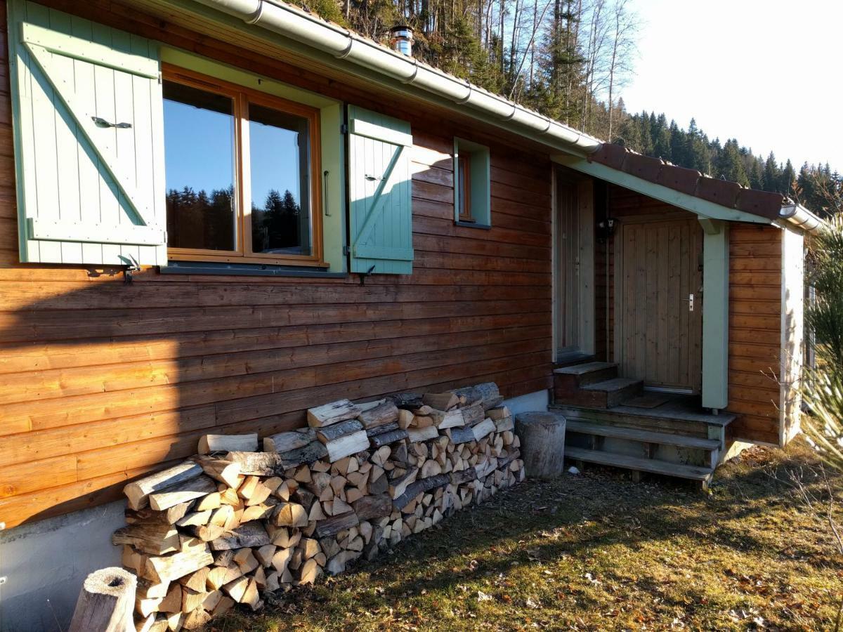 Chalet Daria Prémanon 외부 사진