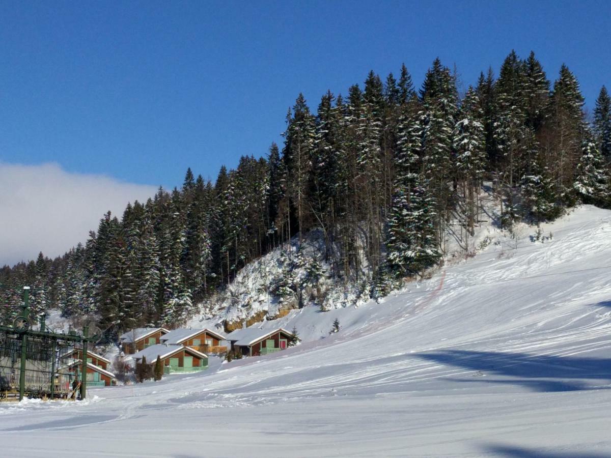 Chalet Daria Prémanon 외부 사진