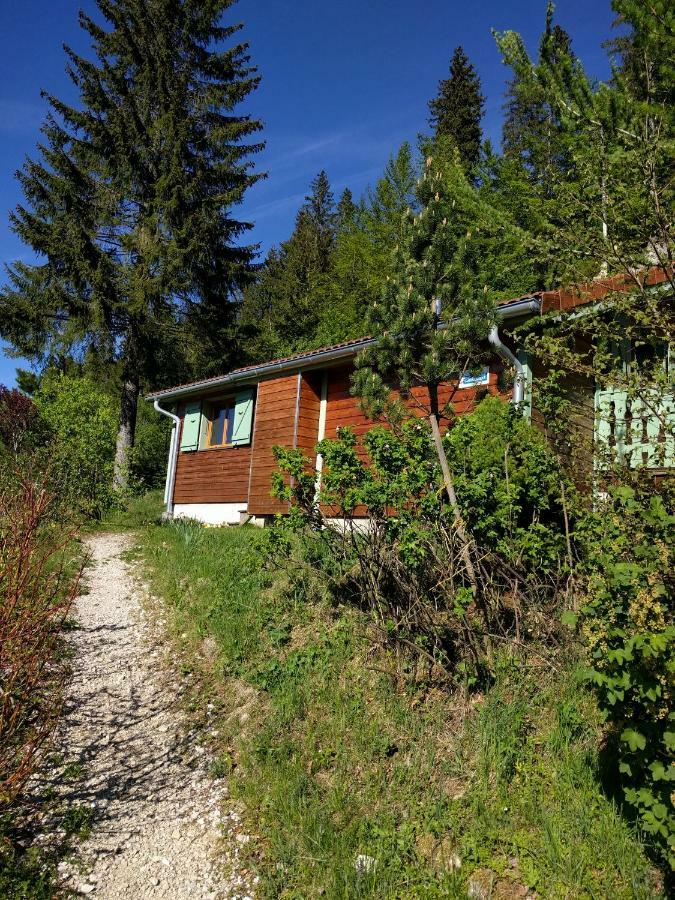 Chalet Daria Prémanon 외부 사진