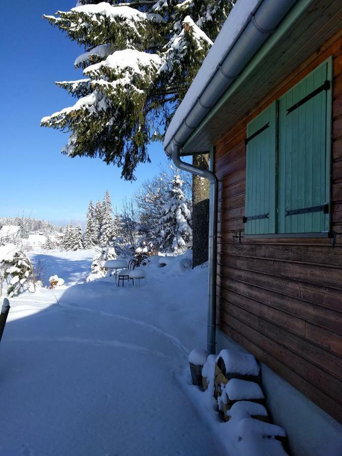 Chalet Daria Prémanon 외부 사진