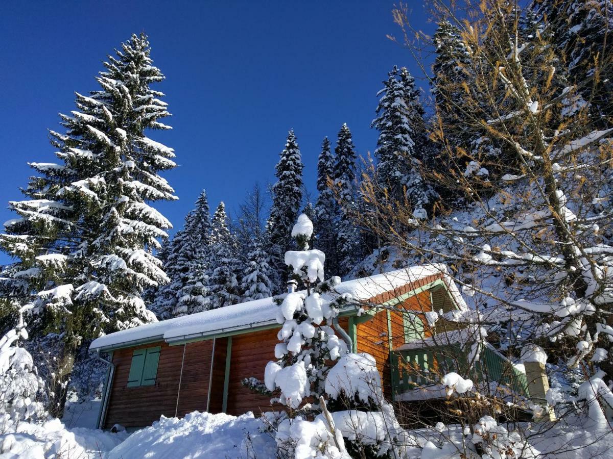 Chalet Daria Prémanon 외부 사진