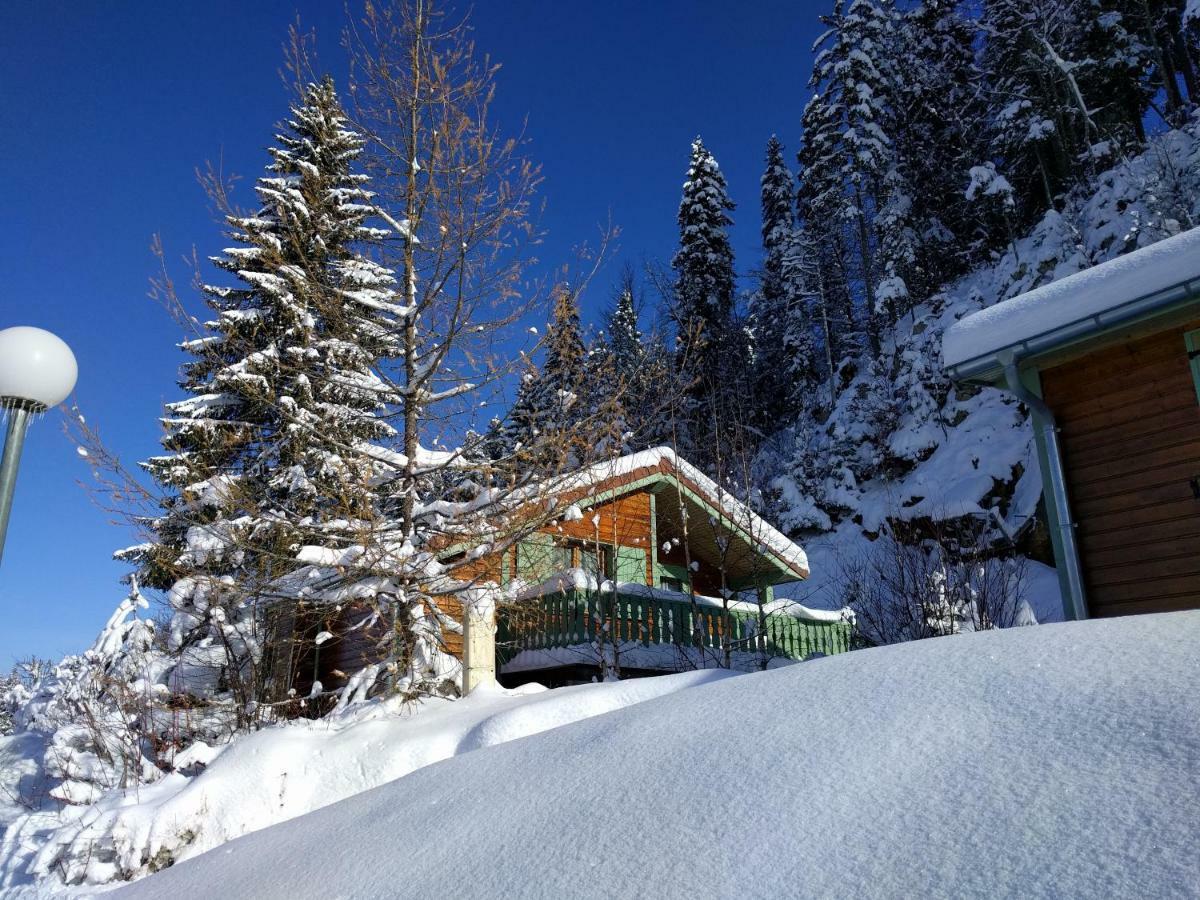 Chalet Daria Prémanon 외부 사진