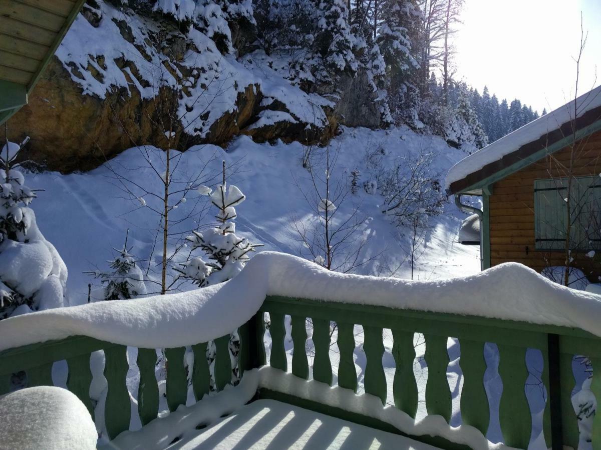 Chalet Daria Prémanon 외부 사진