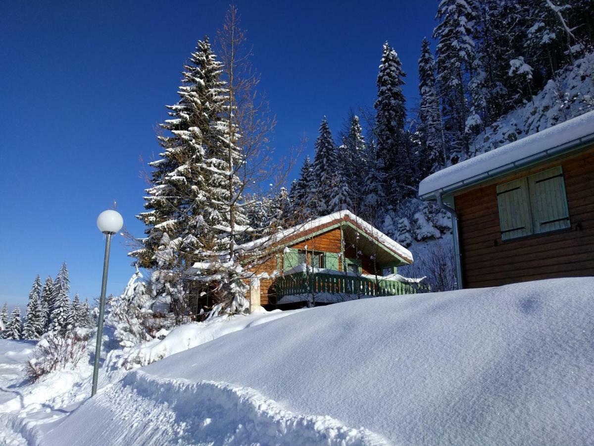 Chalet Daria Prémanon 외부 사진